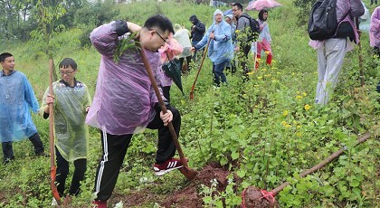99草草国产熟女视频在线