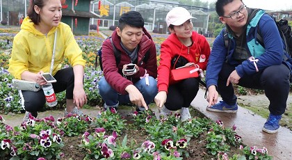99草草国产熟女视频在线