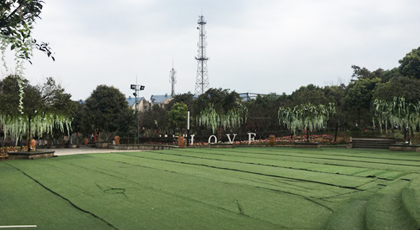 99草草国产熟女视频在线