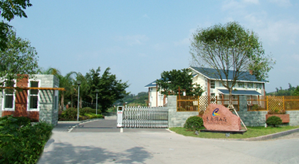 99草草国产熟女视频在线