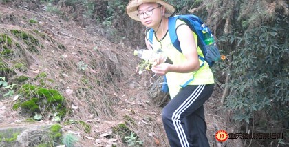 99草草国产熟女视频在线