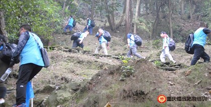 99草草国产熟女视频在线