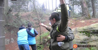 99草草国产熟女视频在线