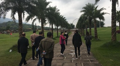 99草草国产熟女视频在线
