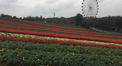99草草国产熟女视频在线