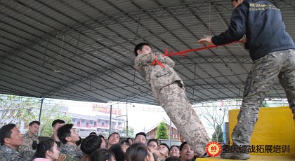 99草草国产熟女视频在线