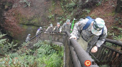 99草草国产熟女视频在线